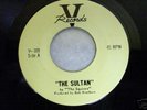 THE SQUIRES 45 Neil Young V Records NO RESERVE