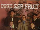 DEAD SEA FRUIT orig. UK '67 toytown pop psych sitar LP
