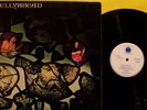 JELLYBREAD, Ultra-rare BLUE HORIZON UK 60's LP