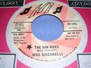 RARE '71 heavy fuzz psych MIKE CICCARELLI 45 {LISTEN}