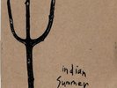 INDIAN SUMMER / reflections on mikweed / 7