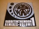 Rabbit in the moon - Remixes Vol 1 - Rare 12