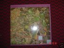 The stone roses -So Young 12