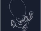 SIGUR ROS AGAETIS BYRJUN 2 LP MINT RARE