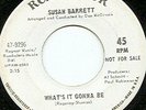 Susan Barrett What's It Gonna Be RCA Northern