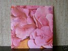 STILL LIFE /'Selftitled' rare orig. Vertigo progrock NM
