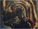 hot rocks rolling stones signed double album