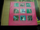 THE SMITHS SHAKESPEARE'S SISTER RARE  NEGATIVE SLEEVE