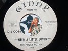 THE FOGGY NOTIONS need a little lovin WLP garage psych