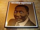 MUDDY WATERS 