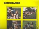 Dreamy Xian folk /  folk psych Gen Orange RARE 
