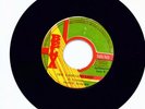 RARE 70s ROOTS - TEN THOUSAND LIONS - PRINCE HAMMER 7