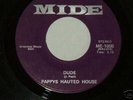 FUNK 45 - PAPPY'S HAUNTED HOUSE - DUDE