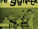 The Shamrock, beat, 60's, , swiss, instro, ep
