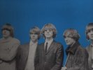The Byrds - Back Pages - B 6470   Sealed 