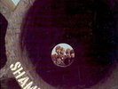 DE MASKERS - (DUTCH FREAKBEAT) SHAME ON YOU (LP)1967