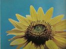 CHILDREN OF ONE-GREAT PSYCH ON REAL RECORDS