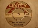 Reggae Boys 'What You Gonna Do' 1969 UK Unity 45