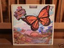 A PASSING FANCY s/t CANADA ORIGINAL PSYCH PROG LP MINT-