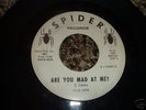 RARE GARAGE 45/ THE BREAK OUT'S ON SPIDER BILLY ADAMS