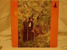 lp record, gandalf the grey, the grey wizard am I-psych