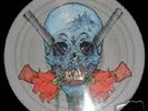 METALLICA  evil never dies pic disc  rare look 