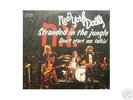 NEW YORK DOLLS 7