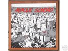 ATAQUE SONORO LP (LOBOTOMIA, ARMAGEDOM, RATOS, COLERA)