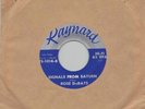 60's Girl Teen Rock 45- Rose DuBats-Signals From Saturn