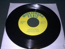 Super Rare Widespread Panic 45 w/Coconut & Monkey Image