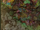 H.P. Lovecraft (same) VG+/VG+ first & bestl psych rock