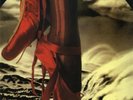 KATE BUSH, THE RED SHOES VINYL LP, BRAZIL PROMO