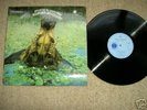 MISSISSIPPI JOE CALLICOTT'PRES.....'BLUE HORIZON.