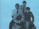 AUGUST s/t garage PSYCH beat LP shadoks MINT in shrink