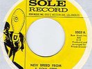 HEAVY FUNK 45 prince brownell NEW BREED on BEM SOLE