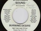 BURNING DESIRE  Funk/Modern/Northern Soul 45