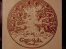 Sealed original GOOD SOIL Indiana Private Press LP