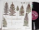 Sibelius Oistrakh vln Hifi Philips 835570 AY RARE