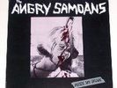 Angry Samoans - Inside My Brain EP 1st Press kbd