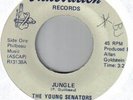 THE YOUNG SENATORS - VERY  RARE FUNK PICTURE SLEEVE