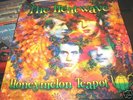 The Heatwave Dutch 67/ 69 Psych Freakbeat LP
