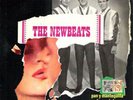 THE NEWBEATS SPANISH EP BREAD AND BUTTER/THE SHOOP SHOO