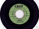Rare Doo Wop 45 Rpm The Five Discs ADIOS On Calo