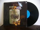 Famous Jug Band-Sunshine Possibilities Original LP UK