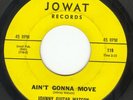 N. Soul - JOHNNY GUITAR WATSON, Ain't Gonna Move, JOWAT