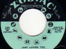 NORTHERN SOUL, RUBY ANDREWS - JUST LOVING YOU