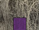 Jonny GRiFFiN lady heavy bottom´ VoGUe LP SAHIB SHiHaB