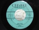 DOO WOP 45 MIKE & THE UTOPIANS  ERLENE ON CEE -JAY #574
