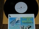 Guided By Voices I AM A SCIENTIST 10
