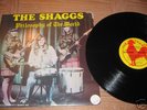 Shaggs - Philosophy of the World - super rare vinyl LP